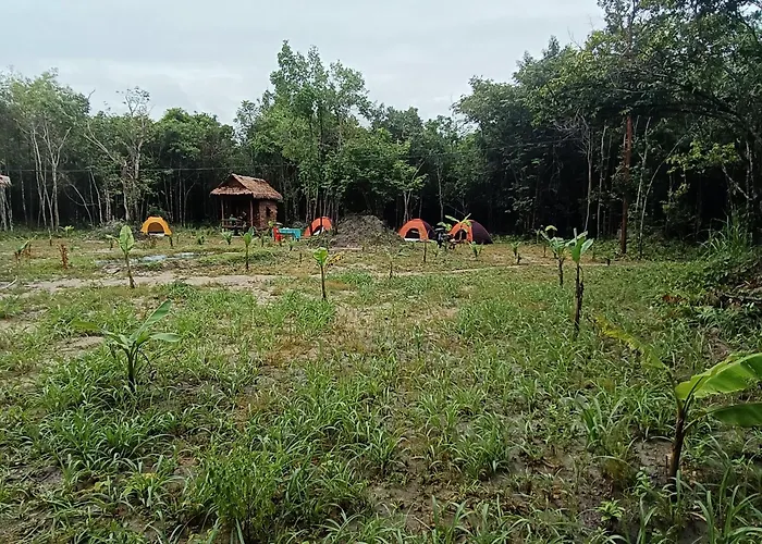 Chansor 1 By Siem Reap Homesteading Phumi Svay Thum