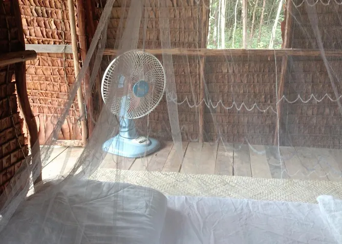 Chansor 1 By Siem Reap Homesteading Phumi Svay Thum