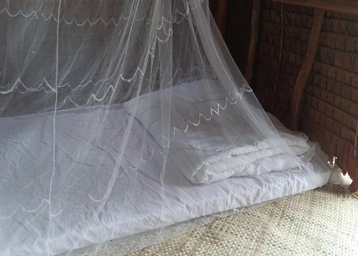 Chansor 1 By Siem Reap Homesteading