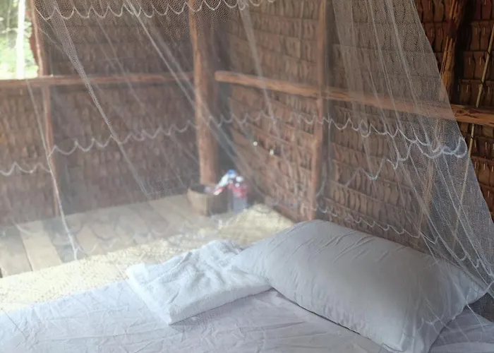 Chansor 1 By Siem Reap Homesteading Phumi Svay Thum