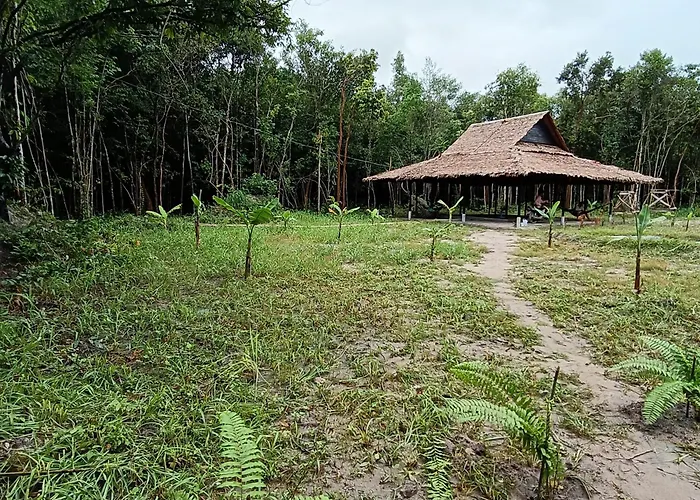 Bed & Breakfast Chansor 1 By Siem Reap Homesteading Phumi Svay Thum