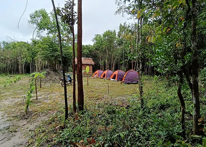 Bed & Breakfast Chansor 1 By Siem Reap Homesteading Phumi Svay Thum