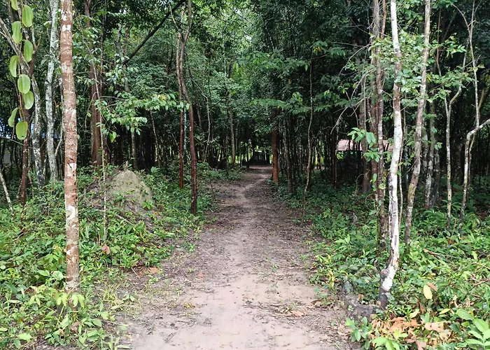Chansor 1 By Siem Reap Homesteading