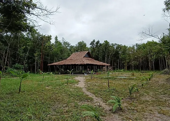 Bed & Breakfast Chansor 1 By Siem Reap Homesteading *