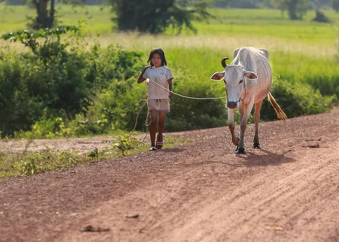 Chansor 1 By Siem Reap Homesteading
