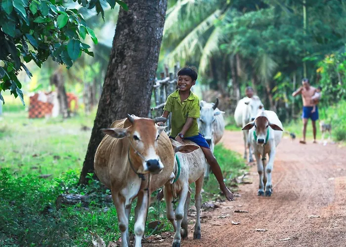 Chansor 1 By Siem Reap Homesteading * Phumi Svay Thum