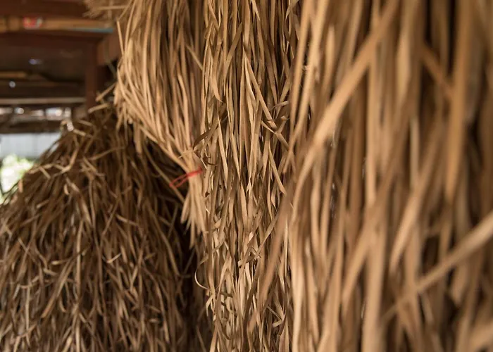 Chansor 1 By Siem Reap Homesteading * Phumi Svay Thum